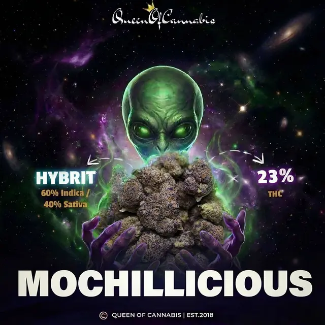 Mochillicious