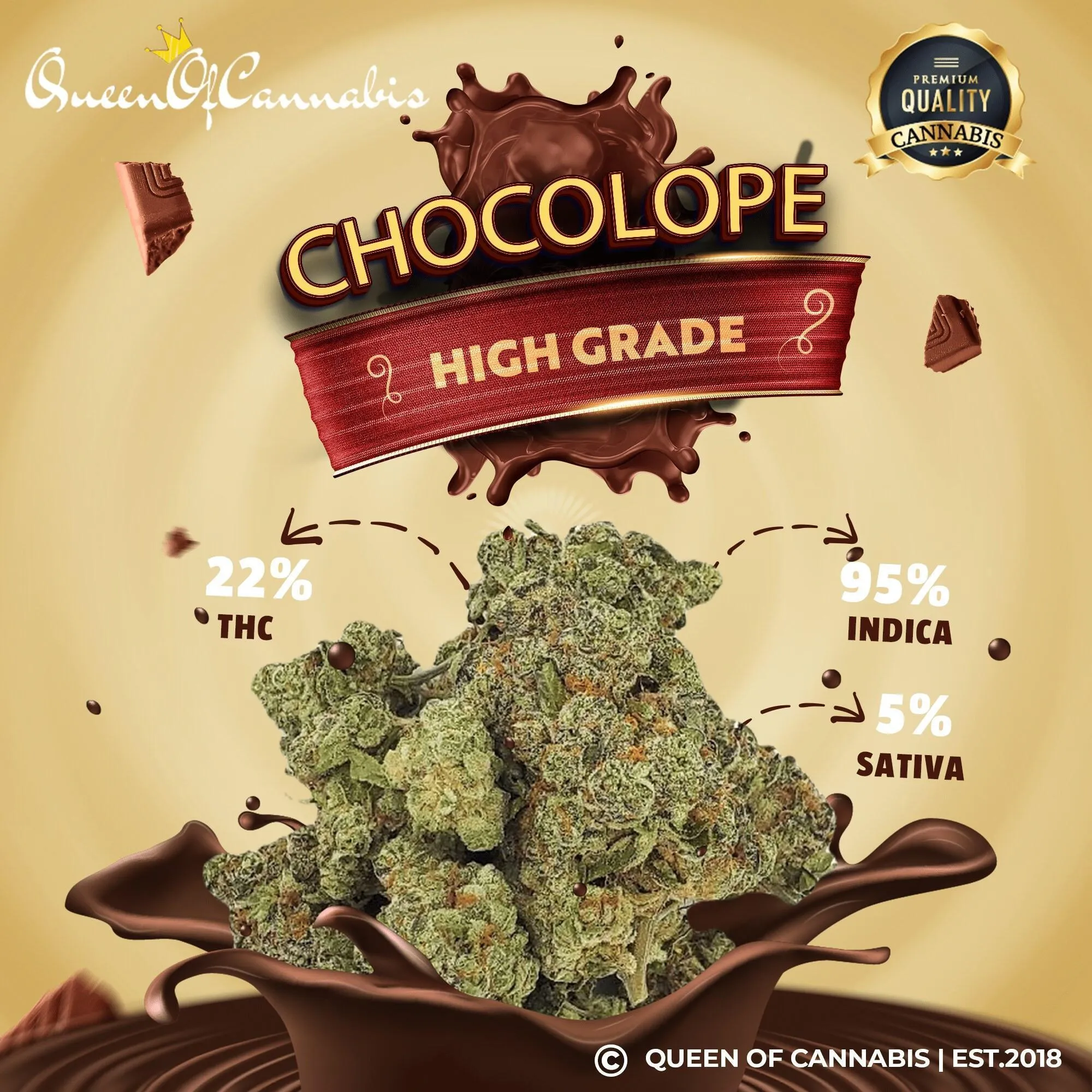 Chocolope (22% THC)