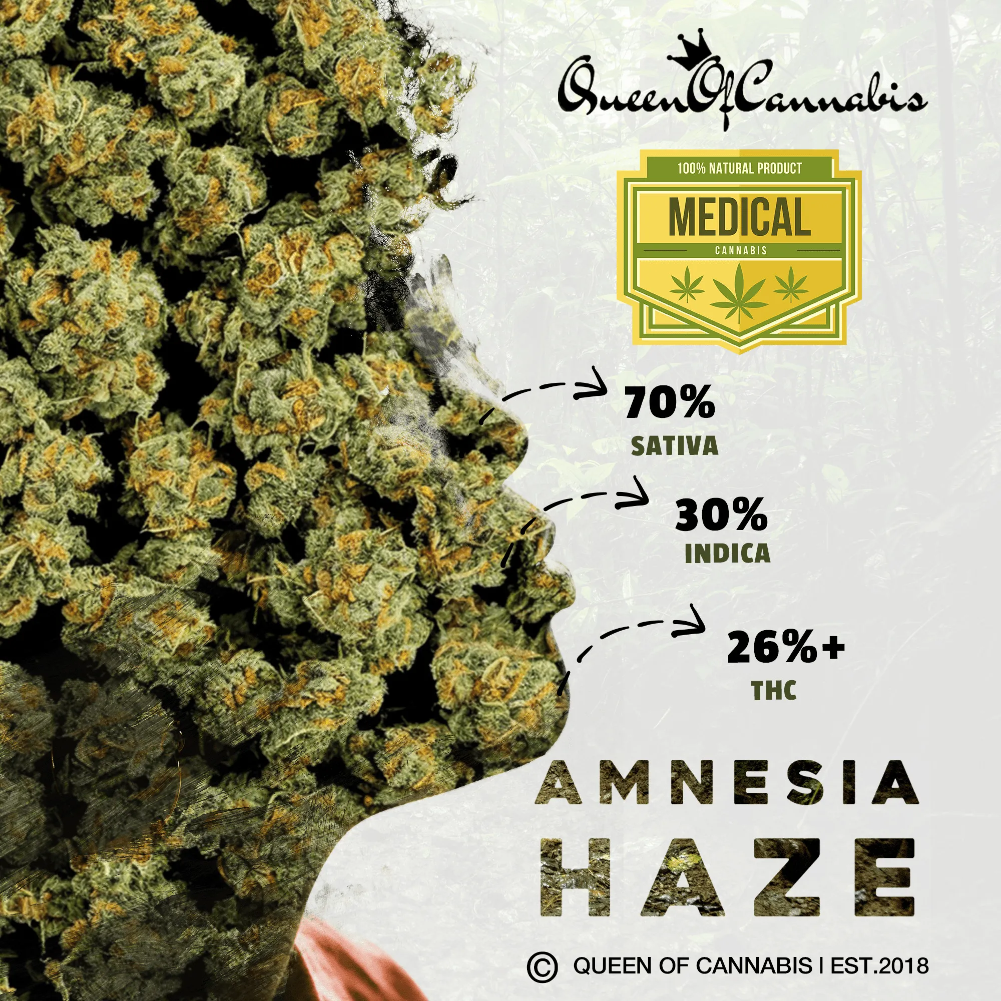 💨🛸 MEDICAL AMNESIA HAZE | 26% THC 🛸💨