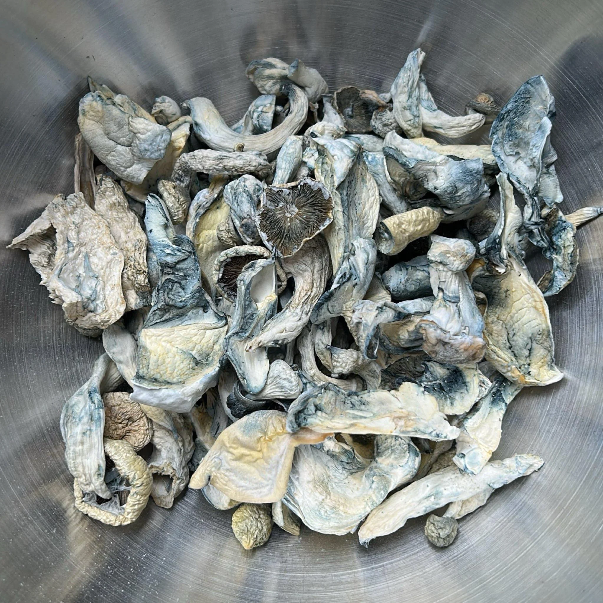 Melmac Monster | Magic Mushrooms ⚠️