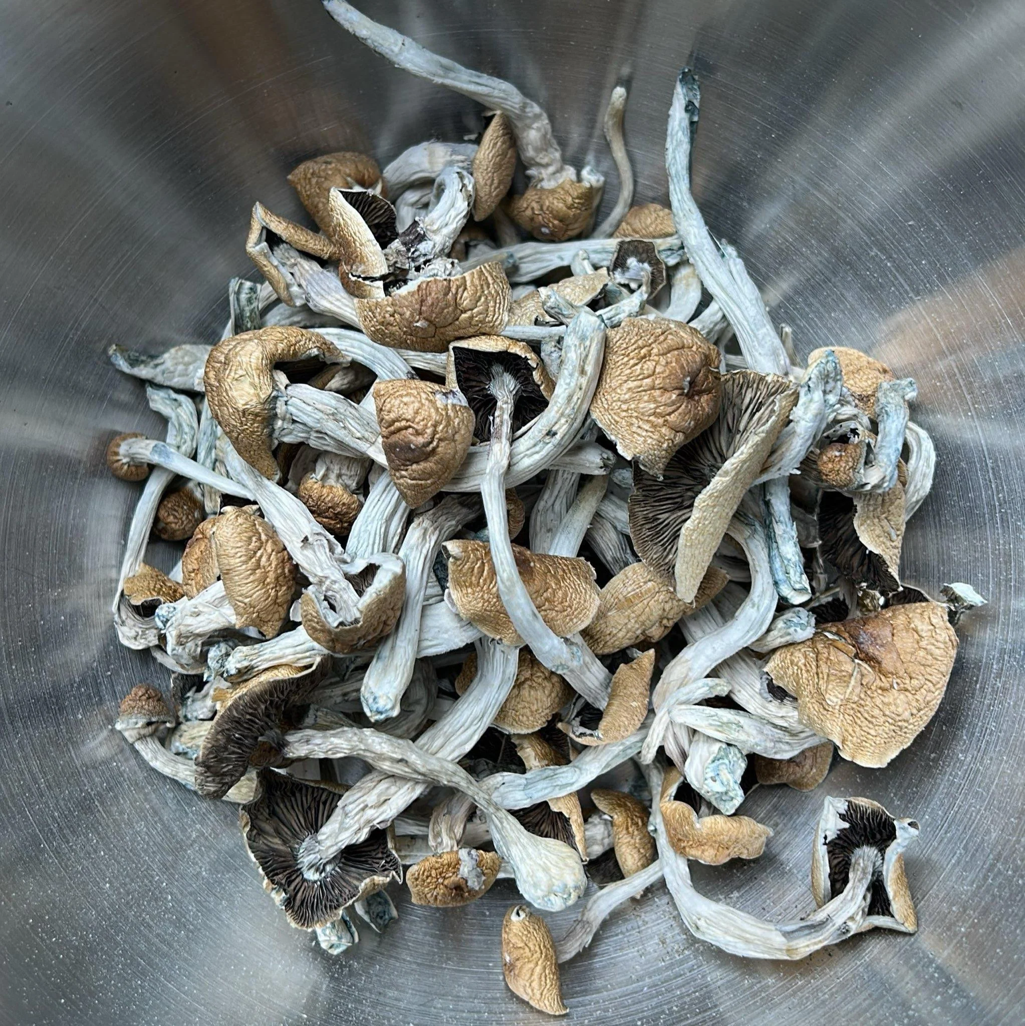 PES Hawaii | Magic Mushrooms