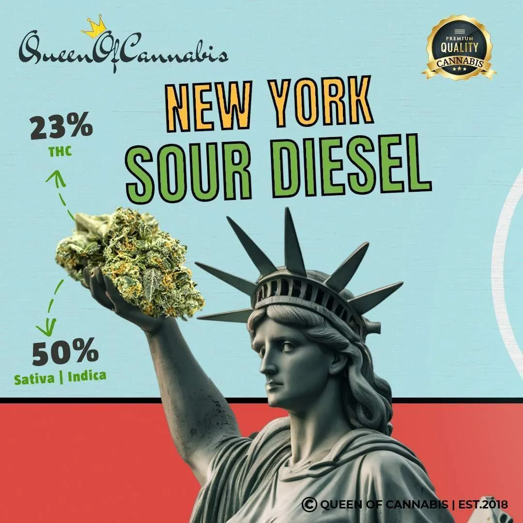 New York Sour Diesel (23% THC - Cali-Genetik)