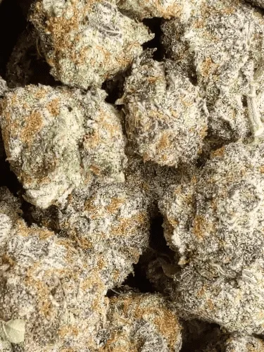 Super Luke Skywalker (31% THC)