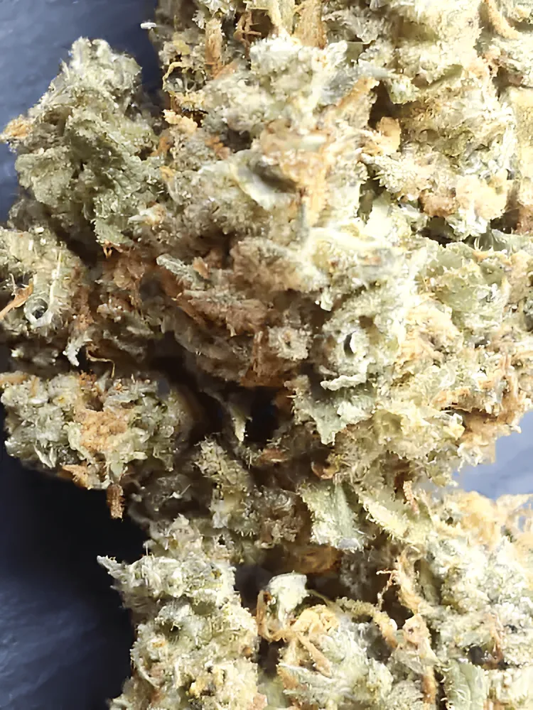 Deep Bongolo (20% THC)