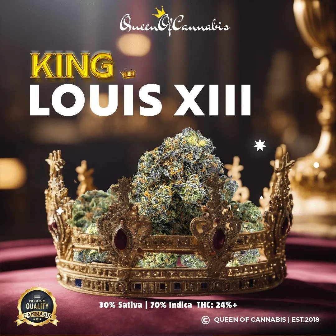⚜️KING LOUIS XIII | CALI IMPORT | 24% THC⚜️