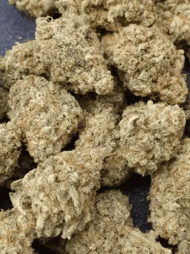 🍇 PURPLE MAC | CALI IMPORT | 21% THC 🍇