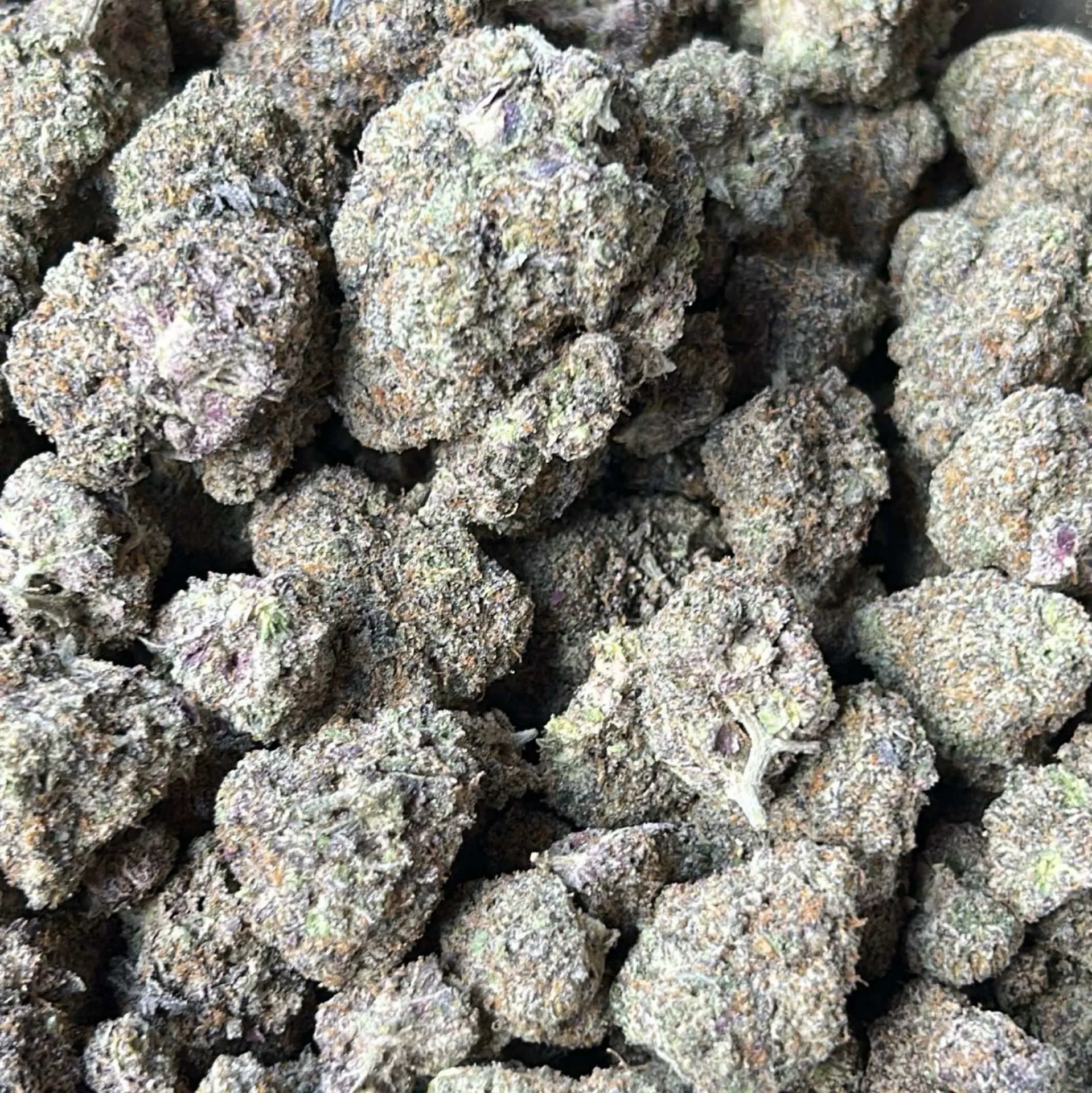 GELATO | PREMIUM CALI | 27% THC