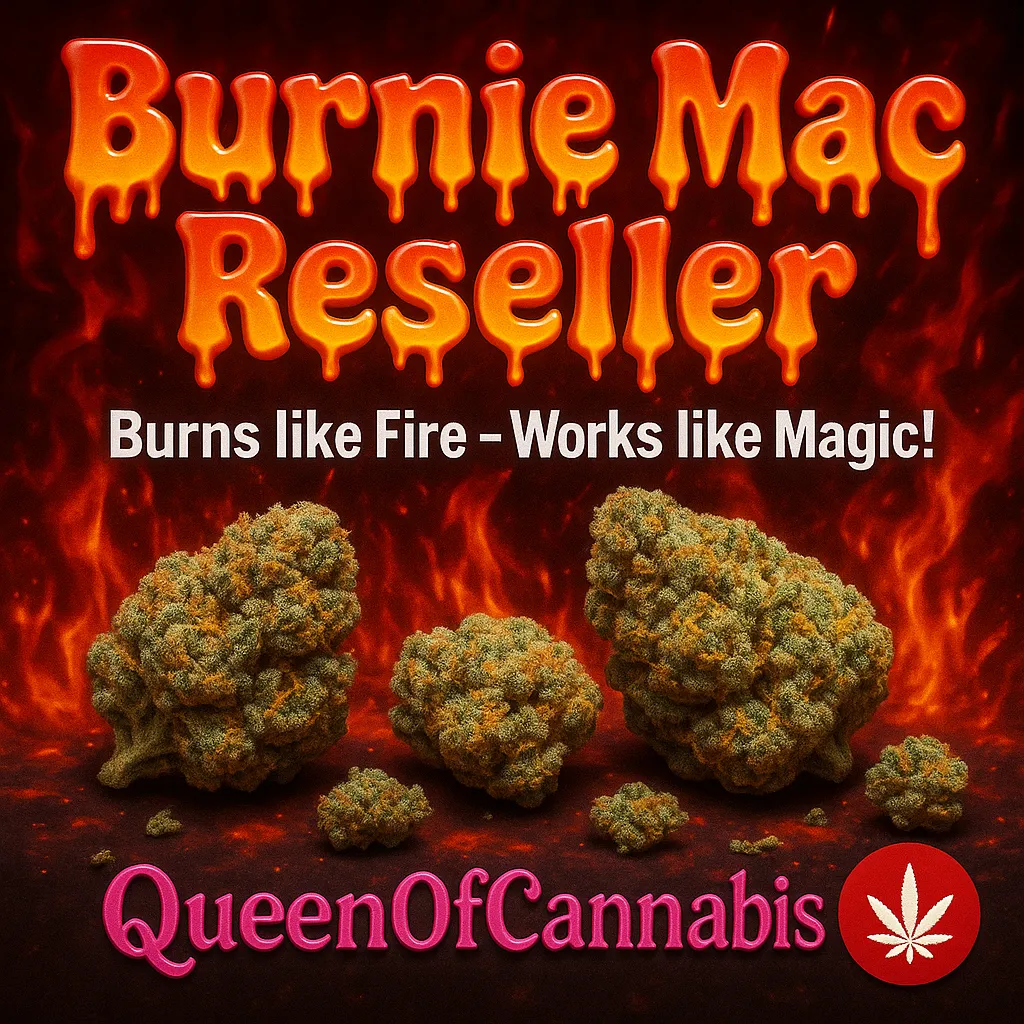 💨 Burnie Mac 💨