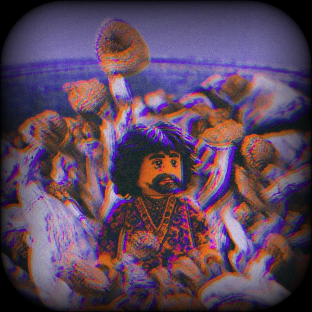 Psilocybe Cubensis McKennaii